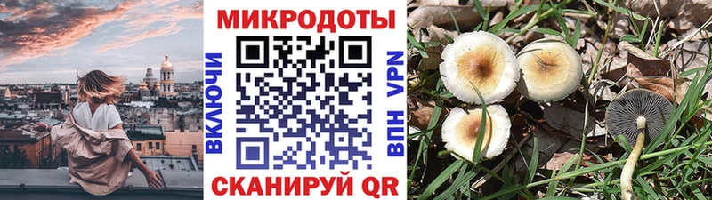 Псилоцибиновые грибы Psilocybine cubensis  ОМГ ОМГ ссылки  Скопин 